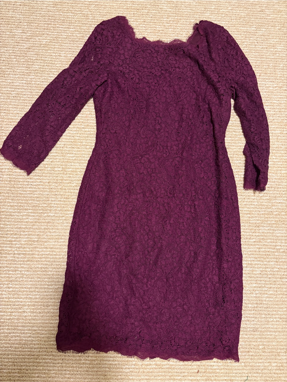 Adrianna Papell Plum Lace Dress V Back Size 8